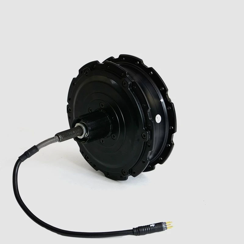 EBS V2 SGI-G Hinterradmotor 36V 250W 3 EBS V2 SGI-G Hinterradmotor 36V 250W – Bild 3