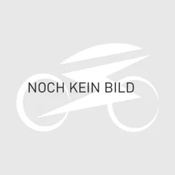 50V (14s) Ladegerät Mit Hohlstecker Für Anschluss An 12V Zigarettenanzünder